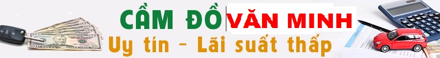 cdvl