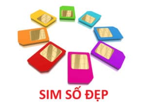 Cầm Sim đẹp